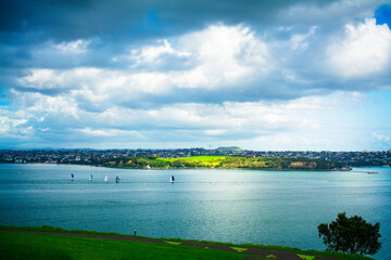 Wall Mural - Sailing boats racing across calm waters of Auckland Harbour on a beautiful winter day. North Island, New Zealand