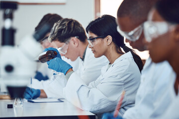 diversity, scientist and people in science exam, test or group project in experiment or assignment a