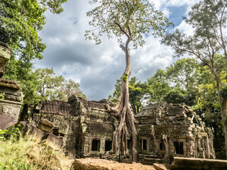 Wall Mural - angkor wat