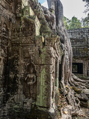 Wall Mural - angkor wat