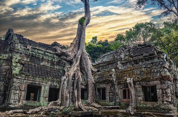 Wall Mural - angkor wat