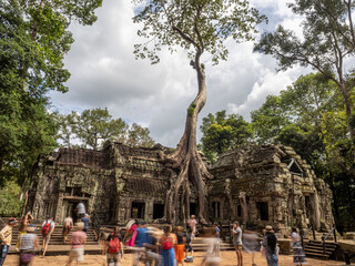 Wall Mural - angkor wat