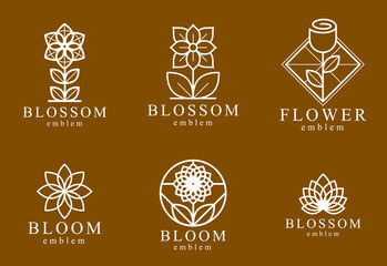 Wall Mural - Beautiful geometric flower logos vector linear designs set, sacred geometry line drawing emblems or symbols collection, blossoming flower hotel or boutique or jewelry logotypes.