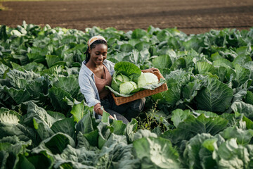 Charming black woman working on a farm, harvesting crops and carrying fresh organic produce in a crate.