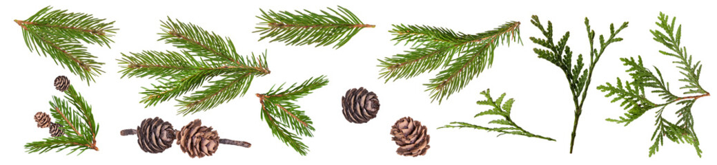 Wall Mural - collage christmas decoration, Fir branch, fir cone, fir. christmas tree.Christmas green spruce branch. green fir tree branch, isolated on transparent background png