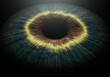 Eye Iris Microscopic