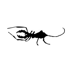 Canvas Print - Scorpion Silhouette