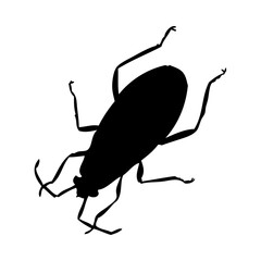 Wall Mural - Beetle Silhouette