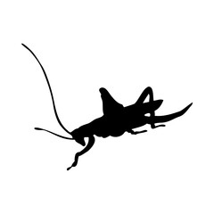 Canvas Print - Grasshopper Silhouette