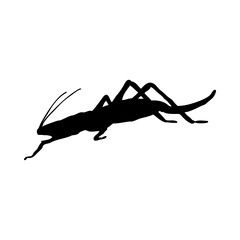 Wall Mural - Grasshopper Silhouette