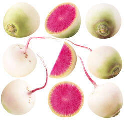 Wall Mural - Collection of watermelon radishes. Different angles of whole, half and piece of watermelon radish isolated on white background with clipping path