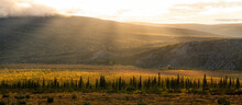 Beams of light at sunset near the arctic circle in the north of Yukon Territory. Autumn turns the foliage a multitude of colours creating a beautiful palette; Dawson City, Yukon, Canada