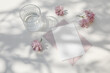 Wedding composition. Feminine spring breakfast still life. Pink Japanese cherry tree, sakura blossoms in sunlight. Blank greeting card, invitation. Glass of water. White dappled table background.