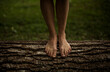pies de mujer sobre corteza de árbol caído