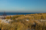 Fototapeta Paryż - A view of the dunes in Sobieszewo on the Gulf of Gdansk