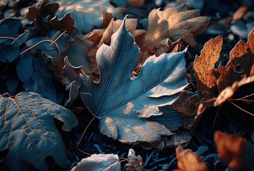 Wall Mural - illustration of close-up dry leaves on ground in brown, blue grey tone color of winter