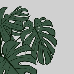  painting for decor depicting a monstera flower on a gray background