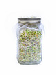 Organic healthy sprouts homegrown in a bottle.