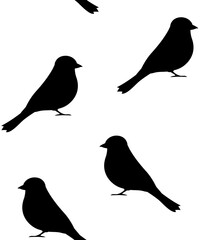 Canvas Print - Vector seamless pattern of flat hand drawn tit bird silhouette isolated on white background