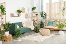 Living Room Interior With Beautiful Different Potted Green Plants And Furniture. House Decor