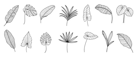 Wall Mural - Set of hand drawn line art leaf branch vector. Collection of tropical monstera, palm leaf branch black white drawing contour simple style. Design illustration for prints, logo, poster, card, branding.