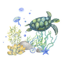 Watercolor Swimming Turtle Isolated On White Background. Hand Drawn Illustration Ocean Or Sea Underwater Seabed With Algae And Jellyfish