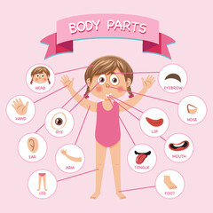 Wall Mural - body parts with vocabulary