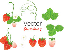 Set Of Strawberries With Leaves
