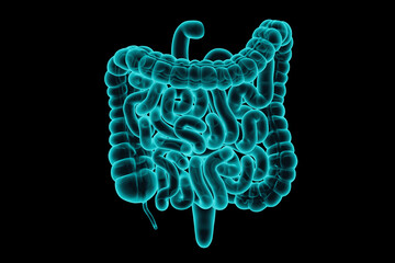 3d illustration of human intestine realistic x-ray simulation isolated on black