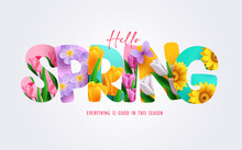 Spring Flower Text Vector Design. Hello Spring Text, Font And Letters With Colorful And Blooming Flowers Decoration Elements. Vector Illustration.