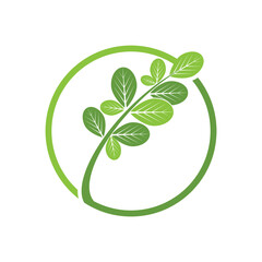 Wall Mural - Moringa Leaf Logo Template Vector Symbol Nature