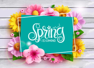 Wall Mural - Spring text vector template design. Spring is coming typography in empty space frame with colorful fresh flowers decoration elements for season postcard background. Vector Illustration.
