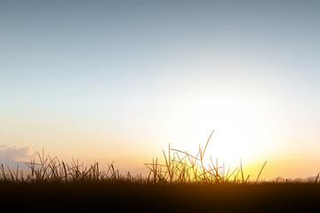 Canvas Print - Landscape view of the meadow