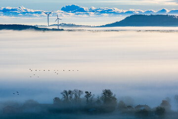 Wall Mural - Landscape view a misty morning with flying birds