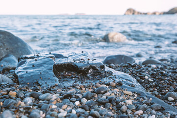 Wall Mural - pebble beach closeup