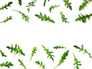 Wall Mural - Arugula pattern with copy space in center