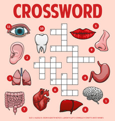 Wall Mural - Human body parts and organs, crossword grid worksheet, vector find word quiz game. Crossword to guess words of medical anatomy, body organs, parts and bones, heart and lungs, eye or lips and tooth