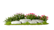 Garden Design Flower Plants And Rocks On Transparent Backgrounds 3d Rendering