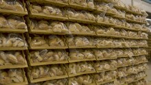 A Wall Of Bread Buns In Plastic Sacks