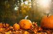 © StockHeroes - Illustration of autumn leaves and pumpkins outdoors, generative ai