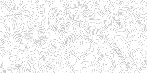 Wall Mural - Topographic map, topographic pattern line map vector abstract background. wavy papercut line abstract background, wavy line background, geographic grid. vector, illustration