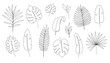 Outline tropic palm leaf set. One continuous line art tropic tree leaves. Editable stroke monstera, jungle foliage floral element. Isolated vector illustration