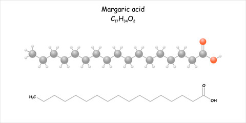 Wall Mural - Stylized molecule model/structural formula of margaric acid.