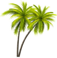 Green Coconut Palm