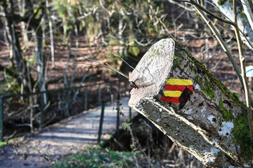 Wall Mural - Belgique Wallonie balade promenade sentier chemin balisage arbre