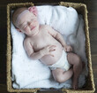 © Designpics - Portrait of a newborn baby in a basket; Surrey, British Columbia, Canada