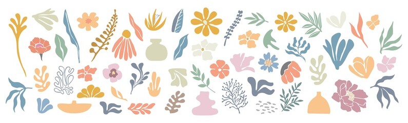 Wall Mural - Set of hand drawn shapes and floral design elements. Exotic jungle leaves, flowers and algae. Abstract contemporary modern trendy illustrations on transparent background. PNG. Digital stickers
