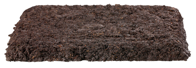 Wall Mural - Brown dirty fertile loam for the soil