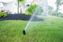 Water Being Sprayed From A Sprinkler In A Lawn