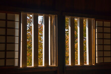 This Close Up Image Shows Outdoor Sunlight And Trees Peaking Through Interior Dark Slatted Windows. 